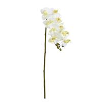 Phalaenopsis hvid, 52cm